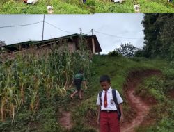 Jalan Curam Dan Licin Menuju Lembaga Pendidikan, Warga Dusun Tando Melaksanakan Bakti Sosial.