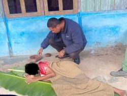 Perempuan di TTS Ditemukan Kritis Bersimbah Darah, Polisi Amankan Terduga Pelaku