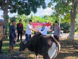 ​Wujud Kepedulian Sosial, Kapolres Ende Serahkan Hewan Kurban di Idul Adha 2026