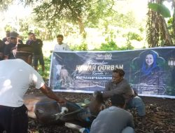 Jamaah Masjid Jihadul Haq Bota Terima Bantuan Sapi Kurban dari Julie Laiskodat