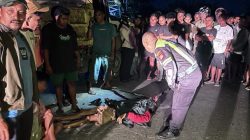 Pejalan Kaki Tewas Ditabrak Motor di Jalan Lingkar Luar Kupang, Pengendara Alami Luka-Luka