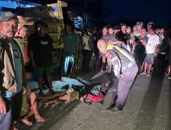 Pejalan Kaki Tewas Ditabrak Motor di Jalan Lingkar Luar Kupang, Pengendara Alami Luka-Luka